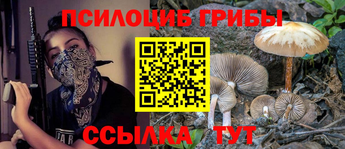 Псилоцибиновые грибы мухоморы  Вход с VPN  Псилоцибиновые грибы Psilocybe  Лесосибирск 